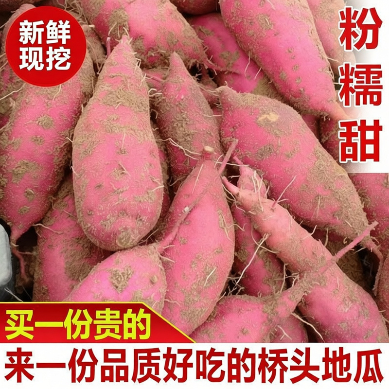 正宗桥头富硒地瓜9.5—10斤中大果含箱