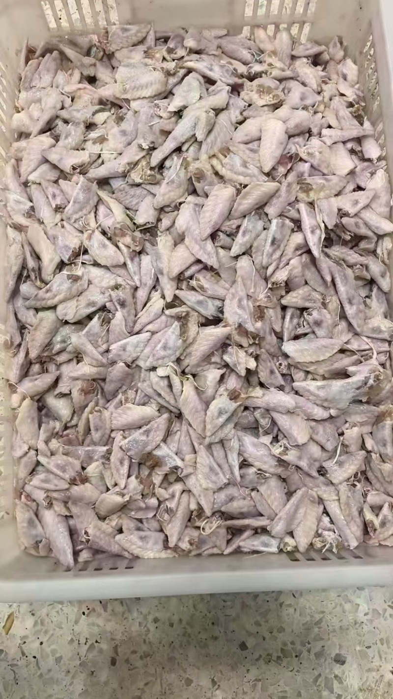 饲料鸡翅尖