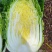 甘肃高原夏菜质量好颜色正