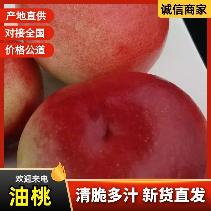 南阳油桃新鲜上市一手货源基地直发对接市场档口