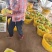 【热卖】特小凤西瓜大量上市中对接商超电商市场等