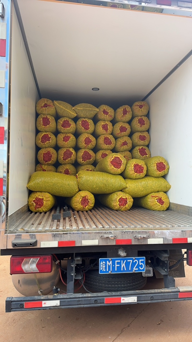 精品鲜花生，对接市场，电商，工厂，量大从优
