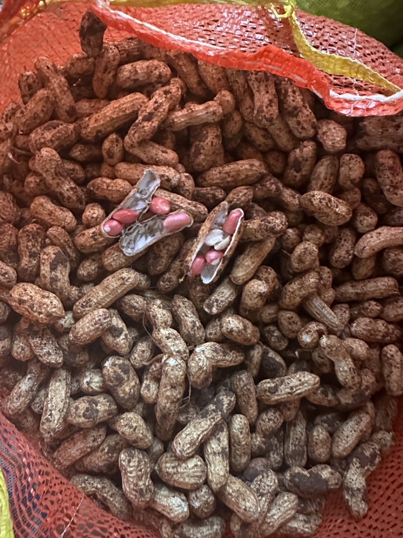 精品鲜花生，对接市场，电商，工厂，量大从优