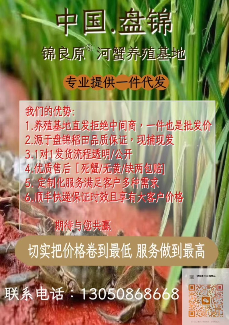 锦良原®山海壹品盘锦河蟹供应链