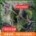 广西香粽源头工厂批发代加工，各大商超供应地