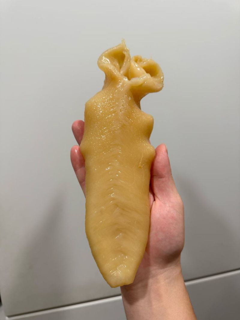 黄花胶筒胶片足干胶质好肉厚性价比高