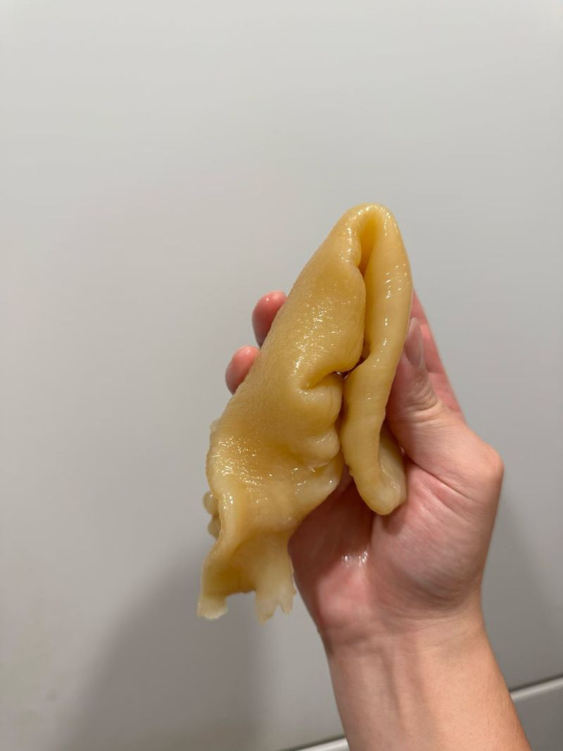黄花胶筒胶片足干胶质好肉厚性价比高