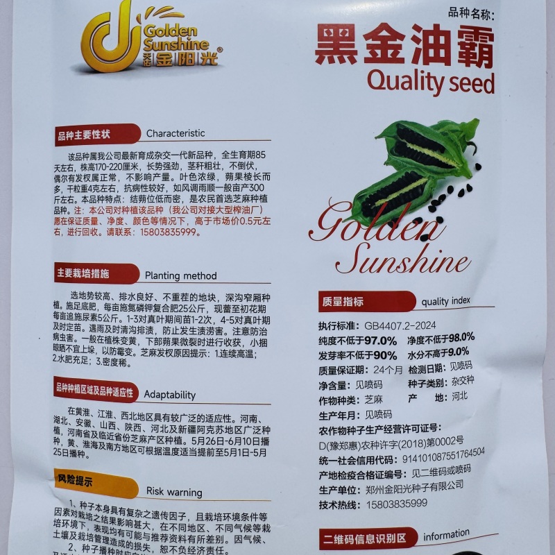 黑金油霸芝麻种子中早熟杂交一代黑芝麻种子产量高抗倒伏春夏