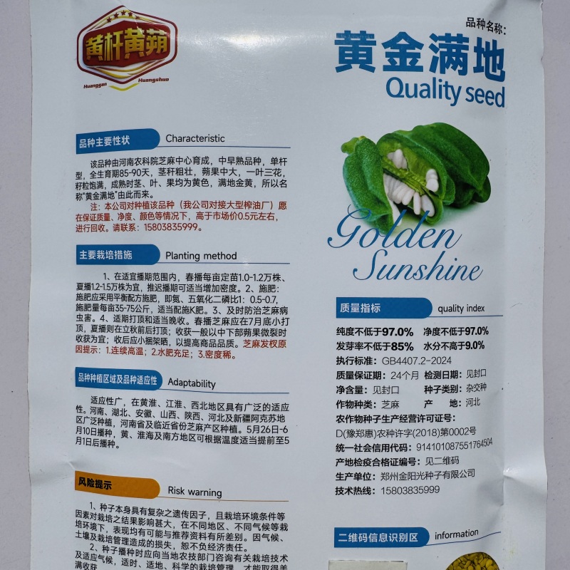 黄金一条鞭黄杆黄朔中早熟杂交白芝麻种子朔果中大出油率高产