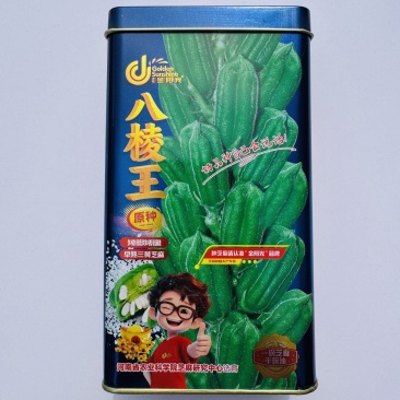 白芝麻种籽矮脚霸王鞭芝麻种子单杆型八棱芝麻高出油芝麻种
