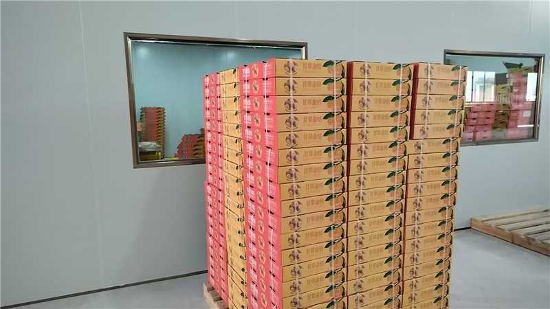 广西特产金丝甘草金桔酸甜多肉入口回甘肉质保满