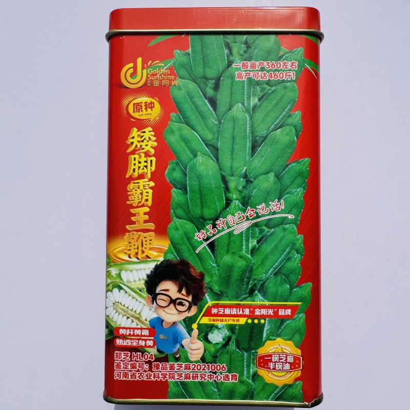 白芝麻种籽矮脚霸王鞭芝麻种子单杆型八棱芝麻高出油芝麻种