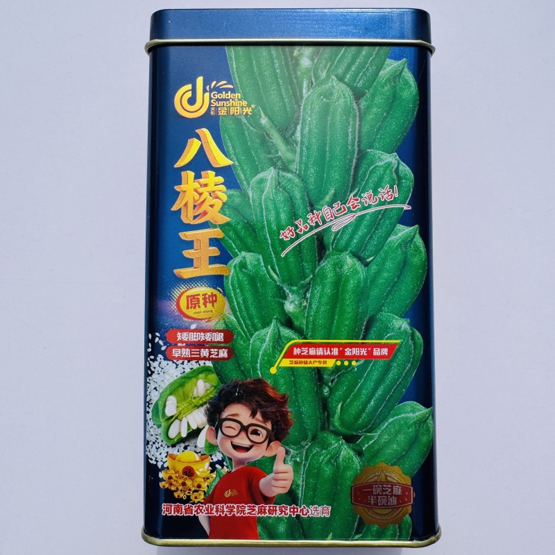 白芝麻种籽矮脚霸王鞭芝麻种子单杆型八棱芝麻高出油芝麻种