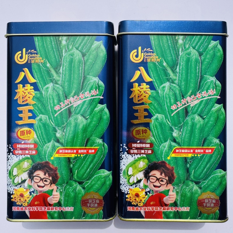 白芝麻种籽矮脚霸王鞭芝麻种子单杆型八棱芝麻高出油芝麻种