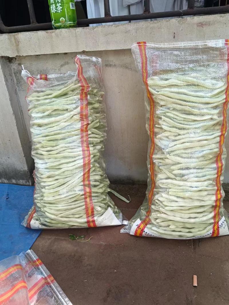 白不老芸豆角、花芸豆角产地直发，需要者联系。
