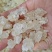 雪燕大量有货，价格有优势！对接全国市场电商平台，欢迎合作