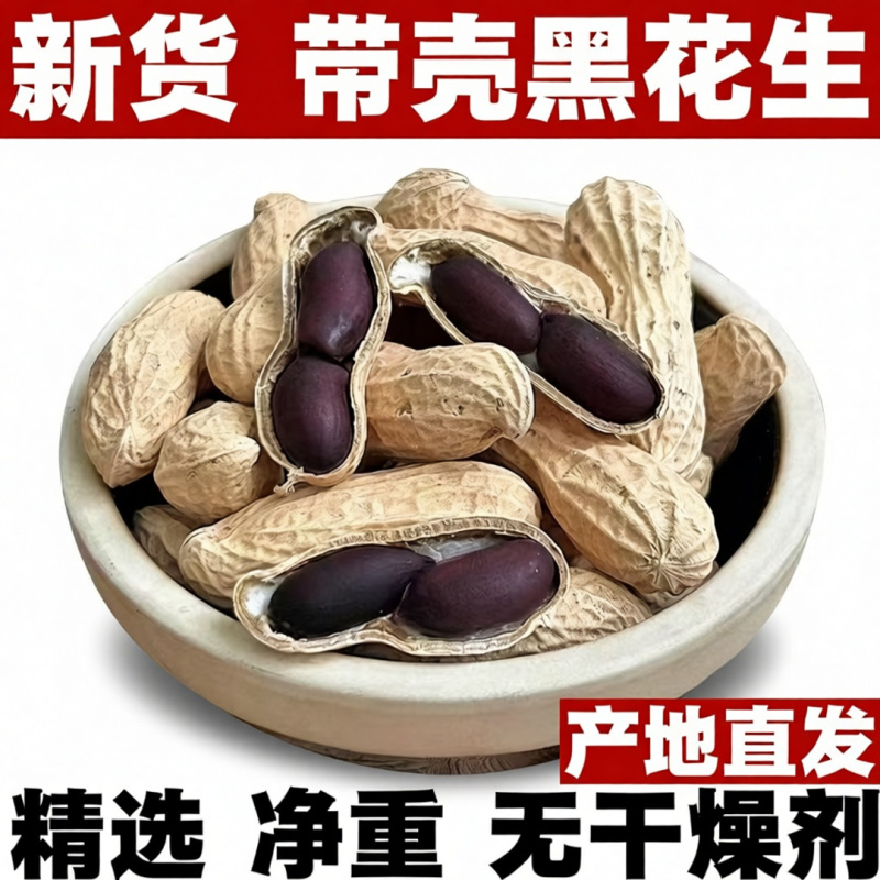 2025年东北黑花生新鲜特产富晒黑花生带壳黑皮花生米水果