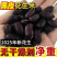黑花生米不带壳新货新脱壳自然风干口感好颗粒饱满