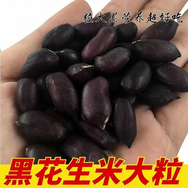 黑花生米不带壳新货新脱壳自然风干口感好颗粒饱满