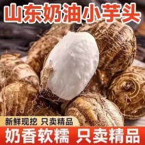 山东牛奶小芋头芋头大量供应批发电商各大平台一件代发