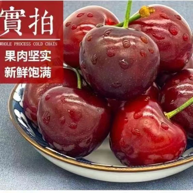 山东大樱桃大量供应电商各大平台一件代发可对接主播