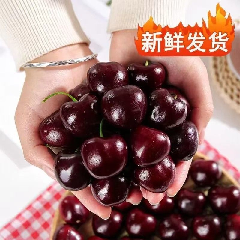 山东大樱桃大量供应电商各大平台一件代发可对接主播