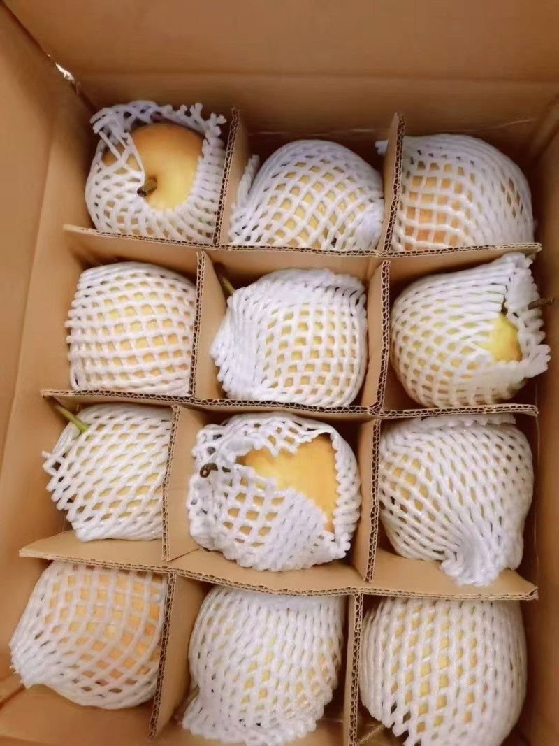 翠冠，黄花梨