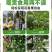 纯甜大果黄金百香果树苗批发四季结果嫁接苗阳台庭院爬藤盆栽