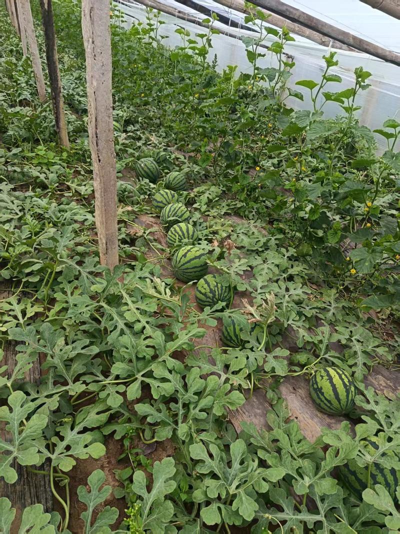 量大从优，欢迎订购