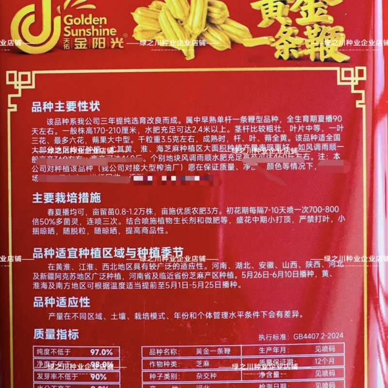 黄金一条鞭芝麻种子黄杆黄蒴白芝麻种子杂交丰产夏播芝麻种子