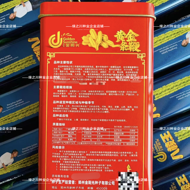 黄金一条鞭芝麻种子黄杆黄蒴白芝麻种子杂交丰产夏播芝麻种子