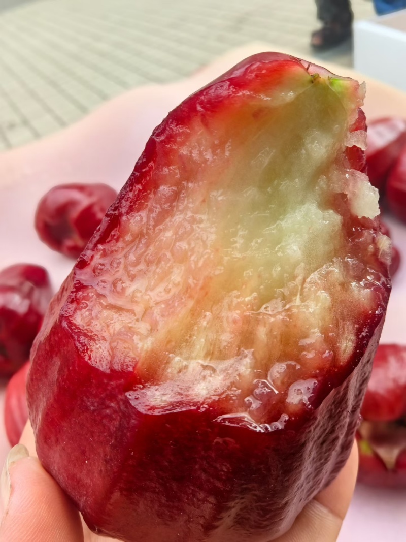 黑金刚莲雾
