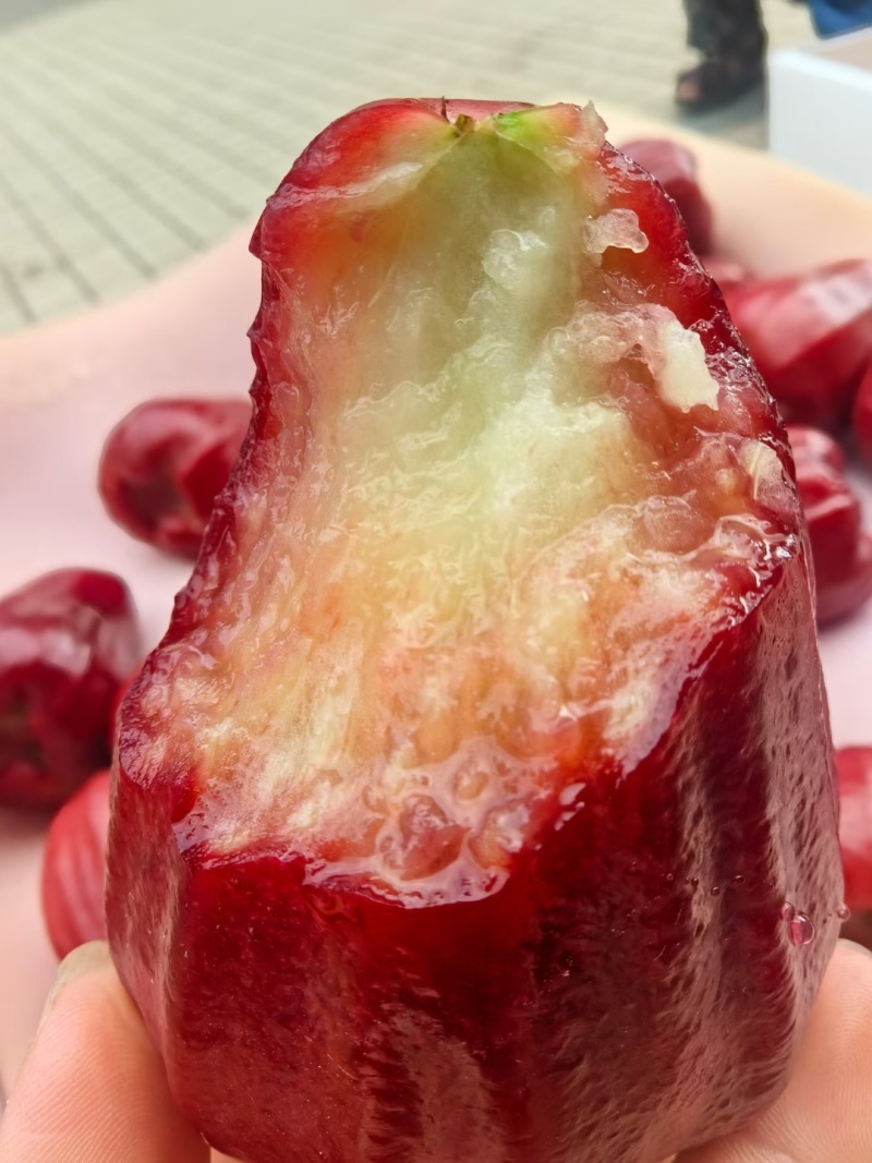 黑金刚莲雾