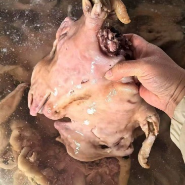 全熟去骨熟羊脸