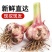 河南大蒜一手货源。