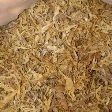 早笋干菜