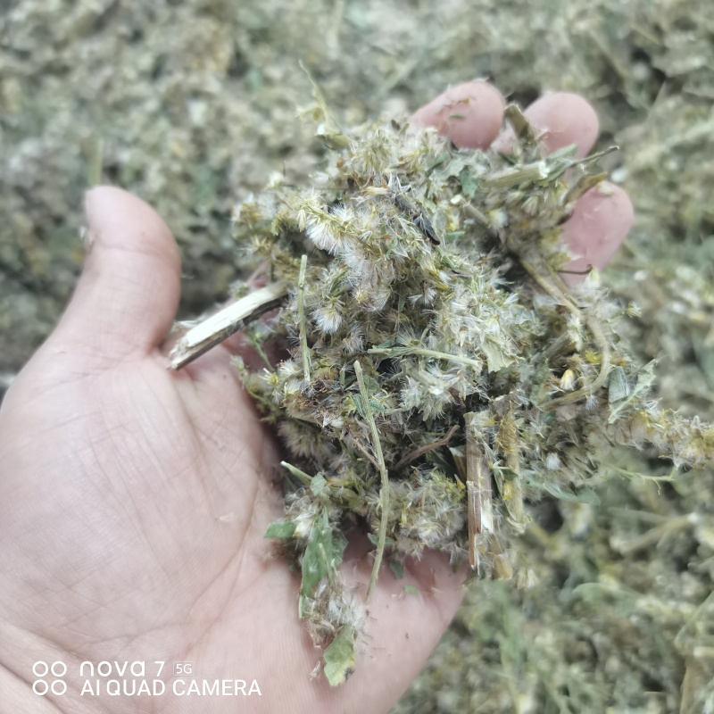 一枝黄花包质检含支持看货量大从优品质保证欢迎来电