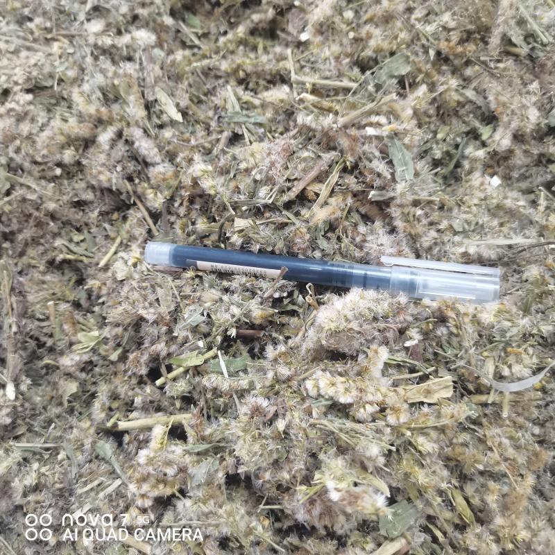 一枝黄花包质检含支持看货量大从优品质保证欢迎来电