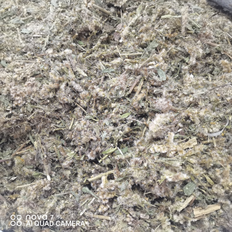 一枝黄花包质检含支持看货量大从优品质保证欢迎来电