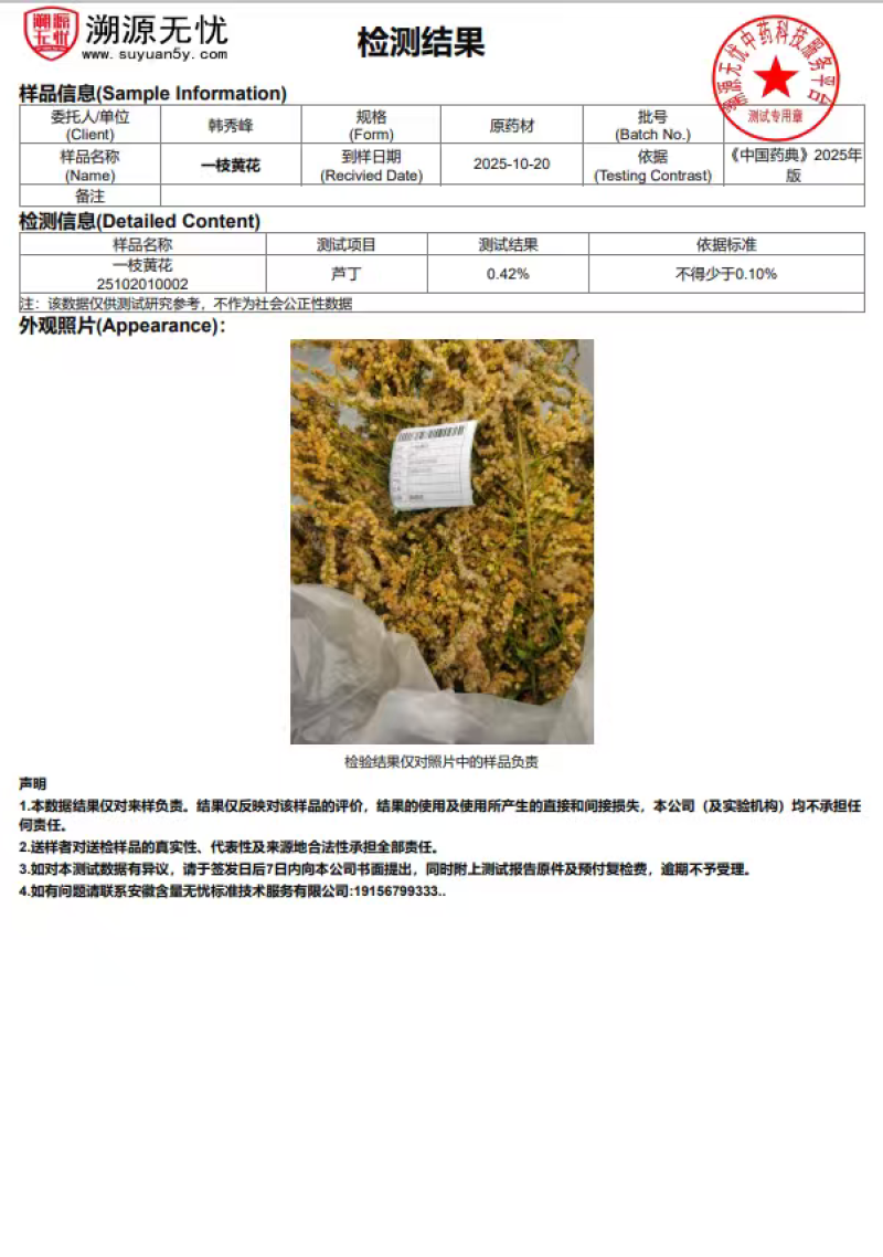 一枝黄花包质检含支持看货量大从优品质保证欢迎来电