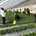 种植养殖大棚，出租，有配套设施，管理住房，欢迎视频看场地