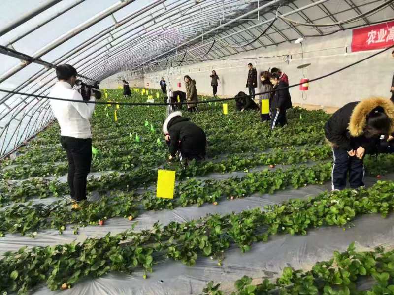 种植养殖大棚，出租，有配套设施，管理住房，欢迎视频看场地