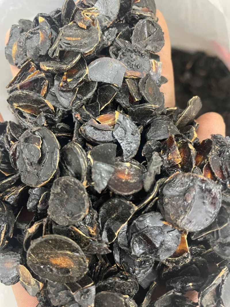 大解果肉批发大片完整腊肠果肉片便秘果肉代发足干无碎干净