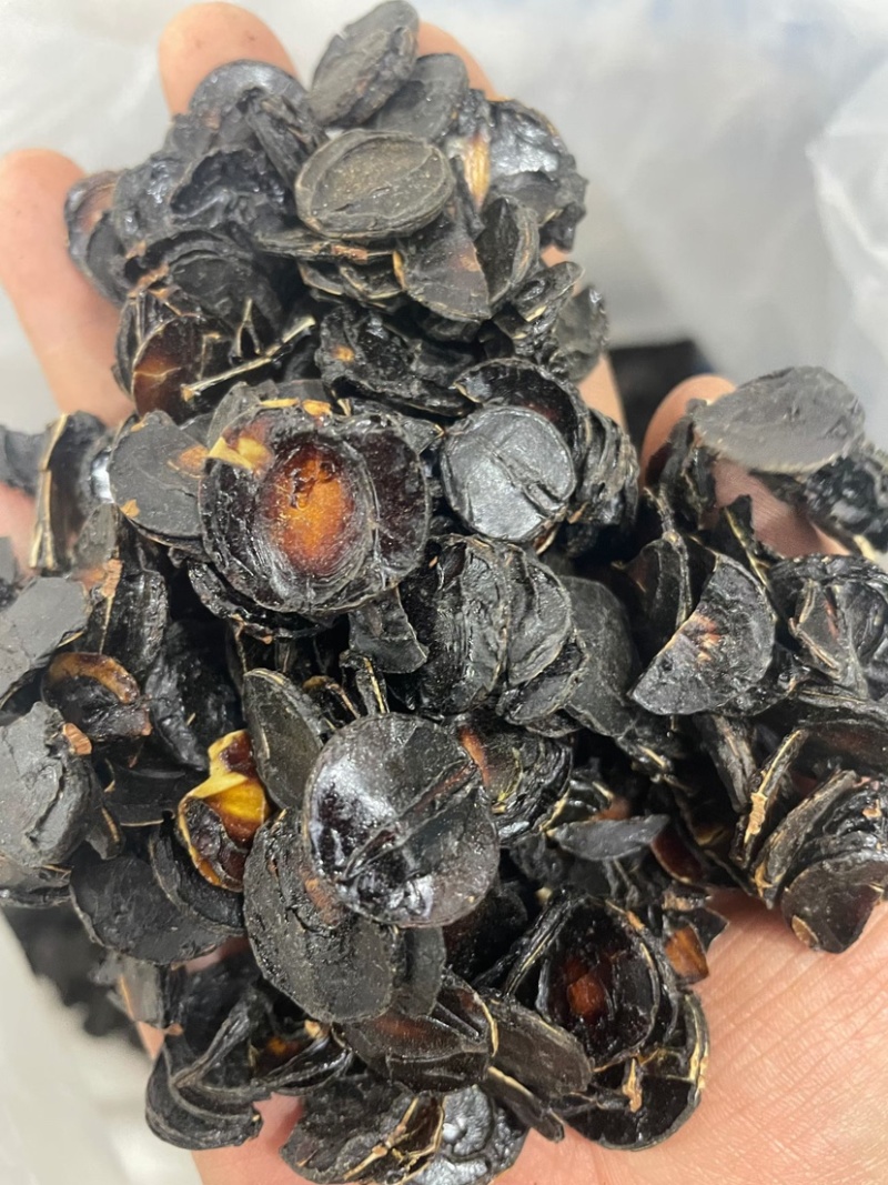 大解果肉批发大片完整腊肠果肉片便秘果肉代发足干无碎干净