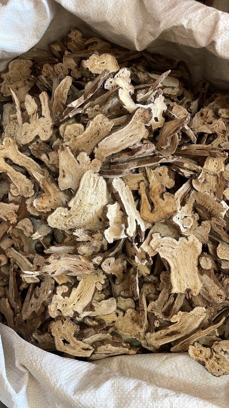 白术两年生白术产地安徽现货供应量大从优