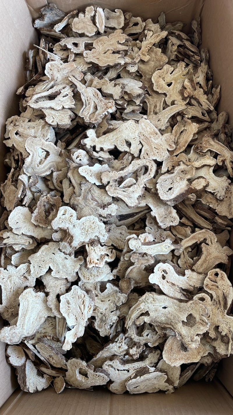 白术两年生白术产地安徽现货供应量大从优