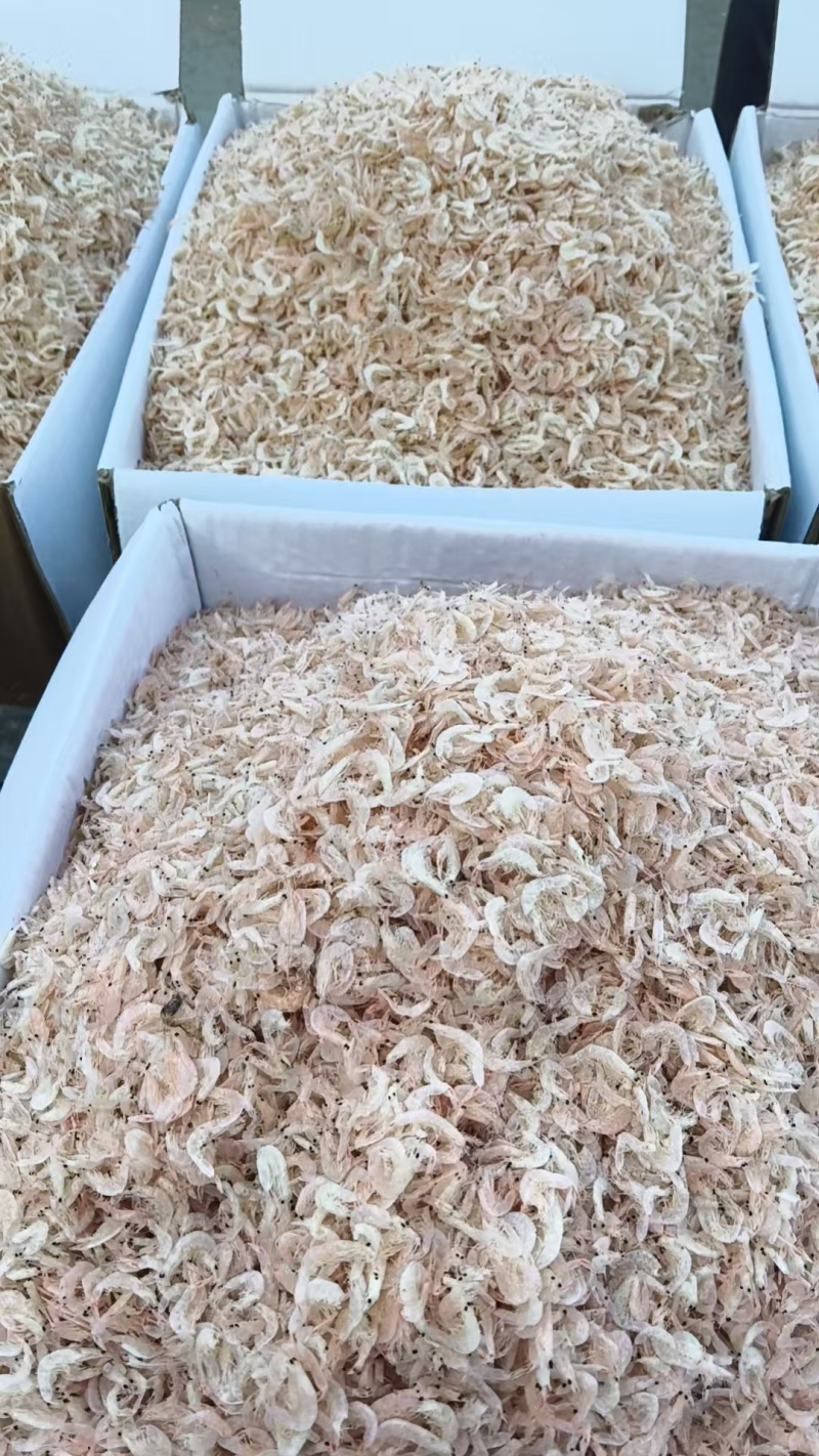 渤海湾虾皮，天然钙库常年有货，**批发，欢迎来电恰谈