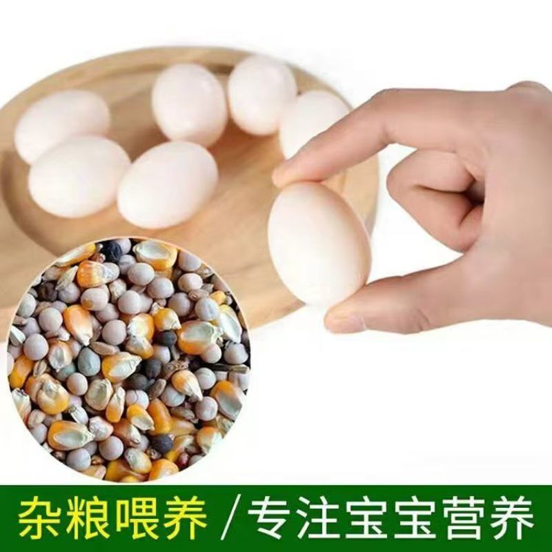 鲜鸽子蛋
