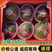 早春红玉小糖丸2k西瓜，皮薄口感甜，一手货源！保质保量！