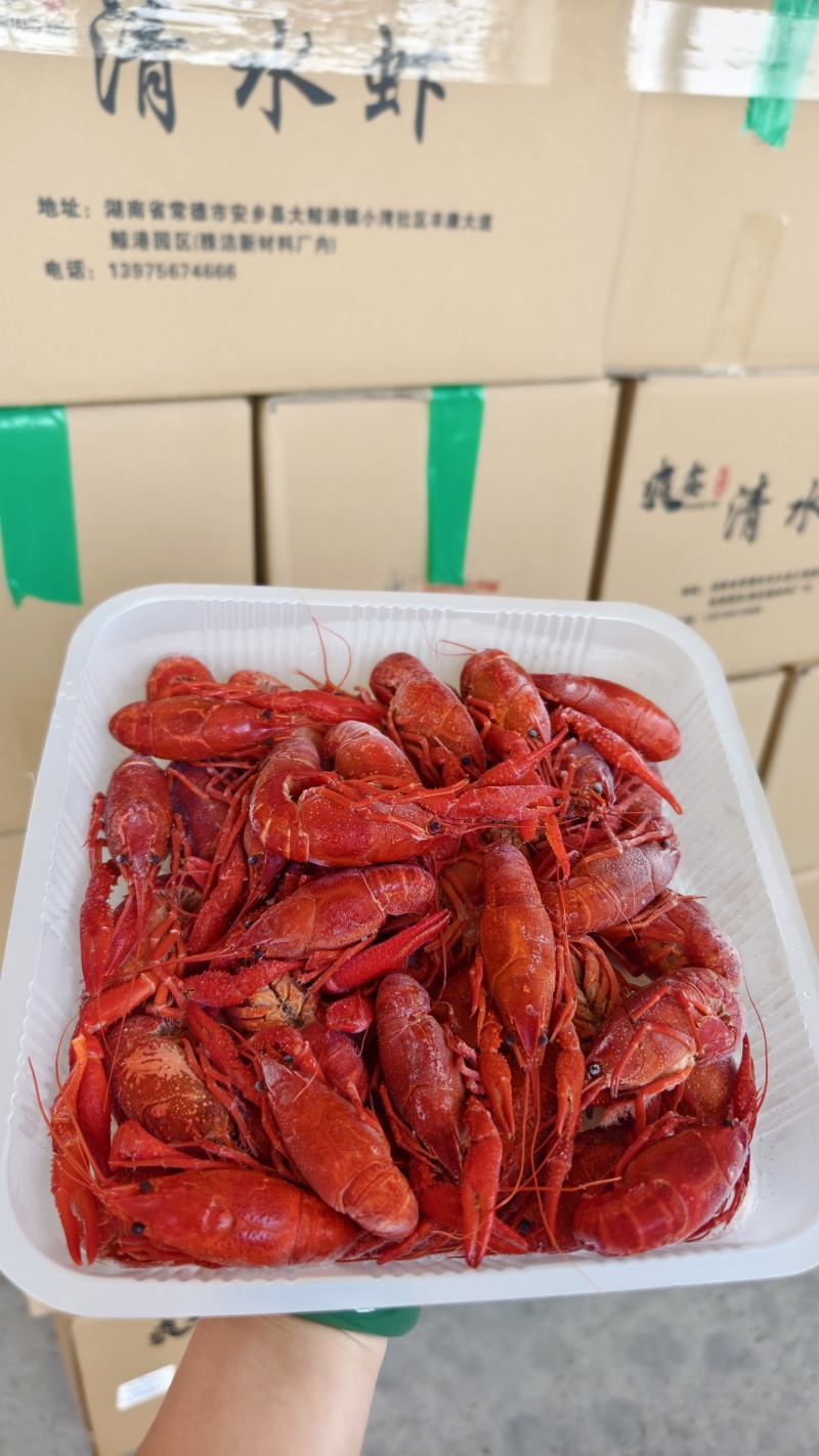 液氮速冻小龙虾/345/456/今年新货/新日期